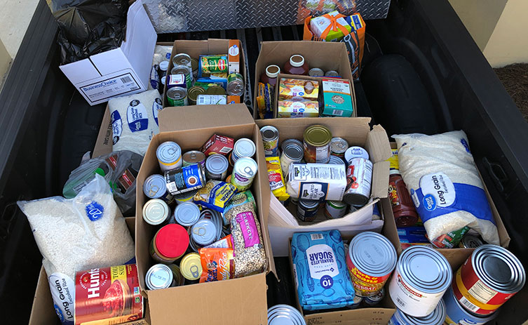 Photo of food collected